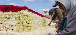Los floricultores y decoradores se organizaron para armar la estructura con forma de pir&aacute;mide.