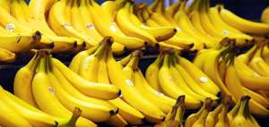 Los bananeros demandan que exportadores compren la fruta