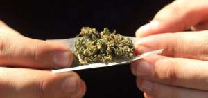 El prejuicio frena el debate sobre  la utilidad y legalizaci&oacute;n del cannabis