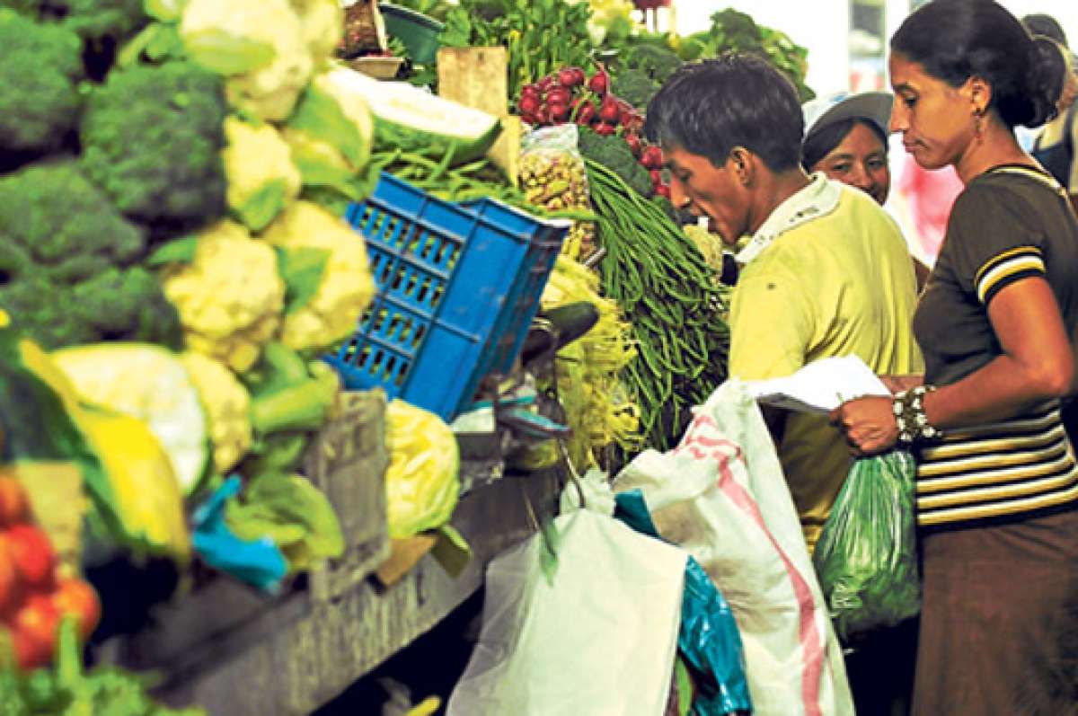 Para reducir la huella ecol&oacute;gica personal, el MAE aconseja preferir vegetales y frutas y reducir al m&iacute;nimo el consumo de alimentos de origen animal. Foto: Archivo.