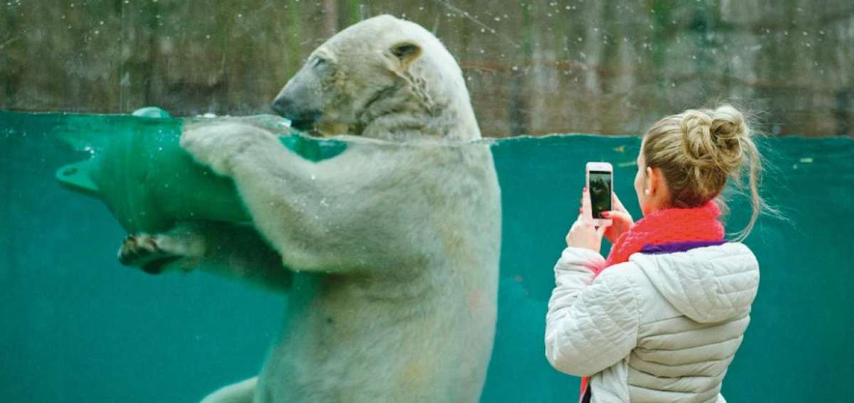 El zool&oacute;gico en Francia