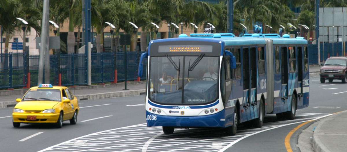 La ATM confirm&oacute; que los buses de la Metrov&iacute;a circular&aacute;n con normalidad.