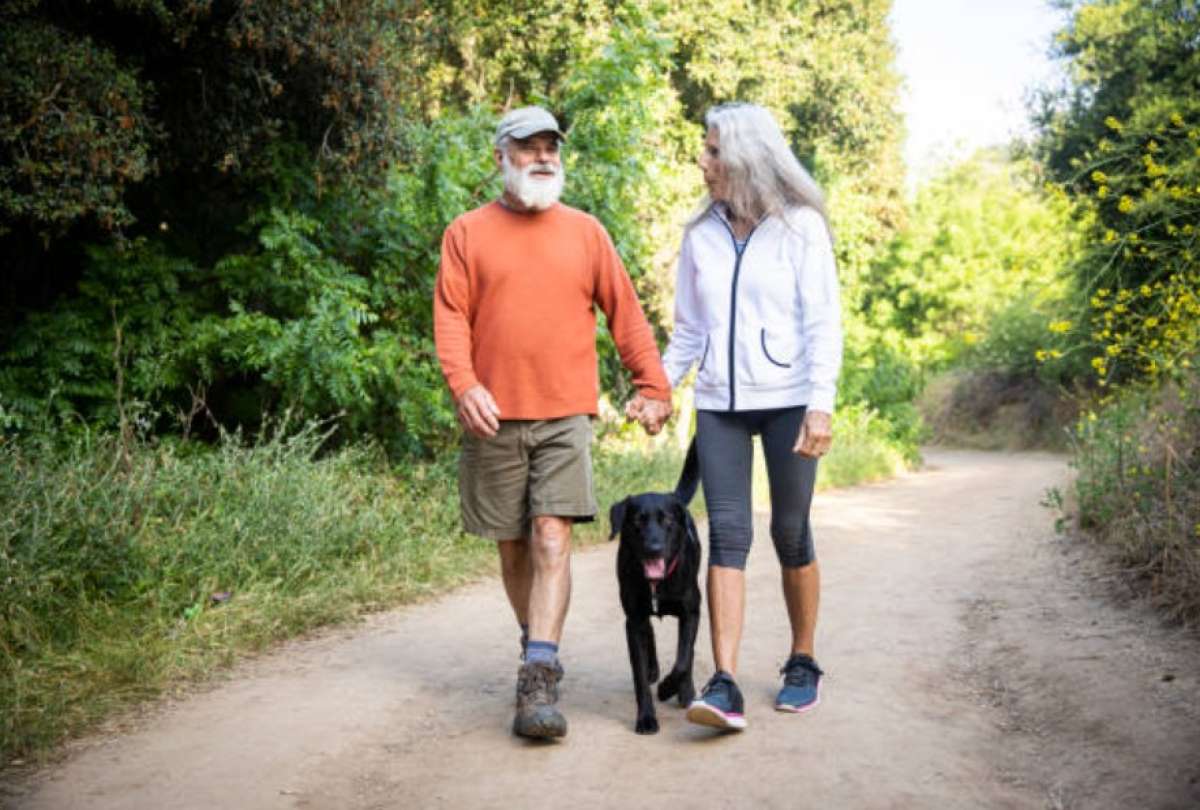 Los adultos mayores ya pueden revisar la Tabla de Pensiones Alimenticias 2026.
