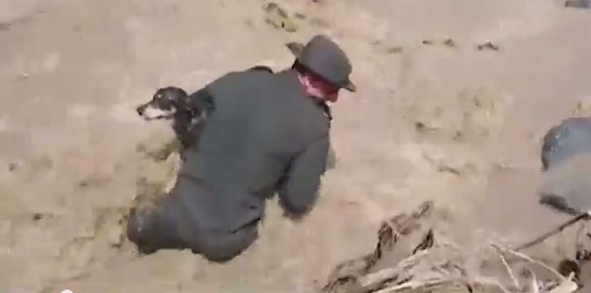 Pr&iacute;ncipe, el perro rescatado de avalancha en Colombia (Video)