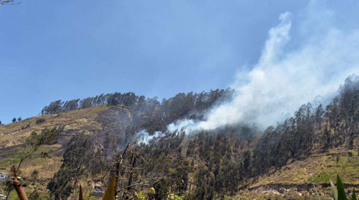 En la quebrada Yugarashpa, en la v&iacute;a a Quisapincha, se produjo un incendio que caus&oacute; da&ntilde;os en un bosque. Foto: Roberto Ch&aacute;vez/ El Tel&eacute;grafo