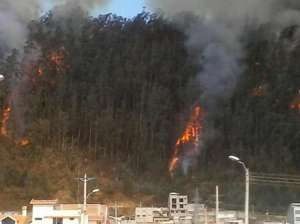 Foto: Twitter Fuerzas Armadas 