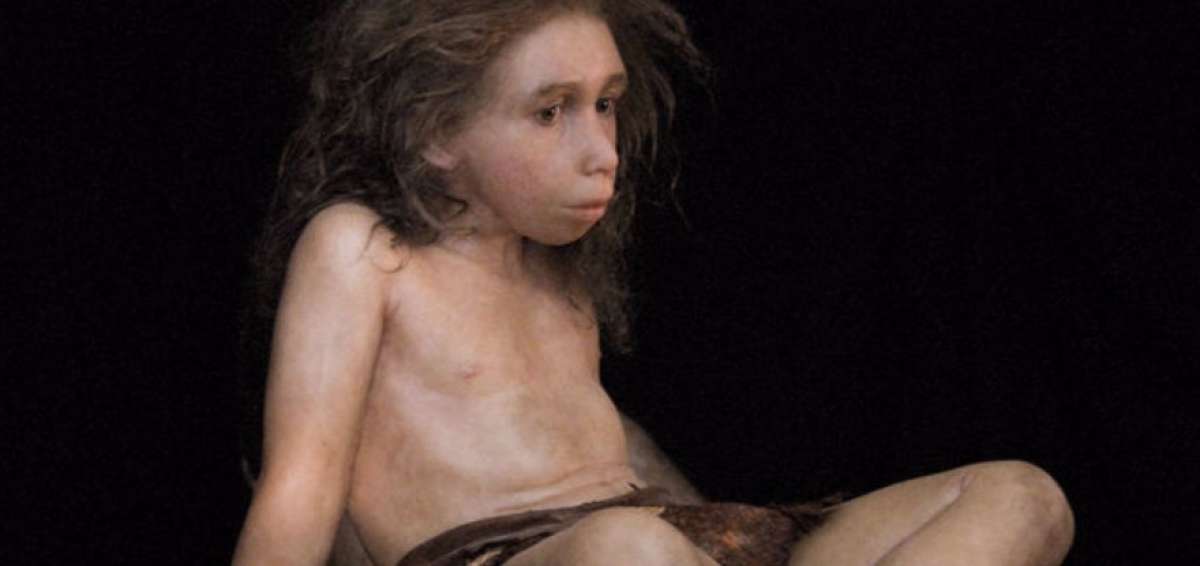 Cr&aacute;neo de ni&ntilde;o neandertal creci&oacute; igual a los de ni&ntilde;os modernos, seg&uacute;n estudio
