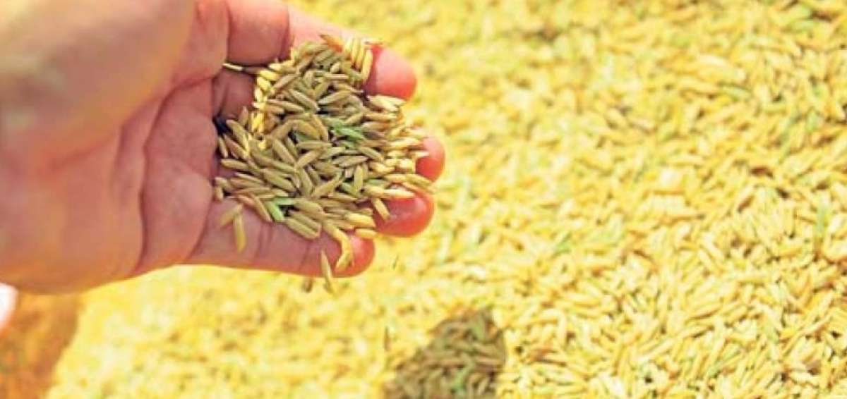 Mandatario previene del peligro de un TLC porque arrasar&iacute;a con la producci&oacute;n agropecuaria