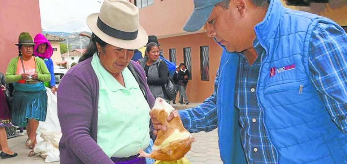 Asociaciones de mujeres de Nab&oacute;n recibieron cuyes de Agroazuay