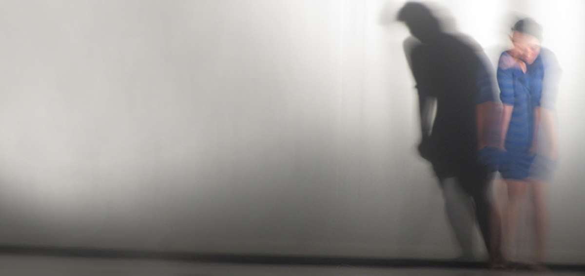 Monotem&aacute;ticos y la persistencia de la danza contempor&aacute;nea
