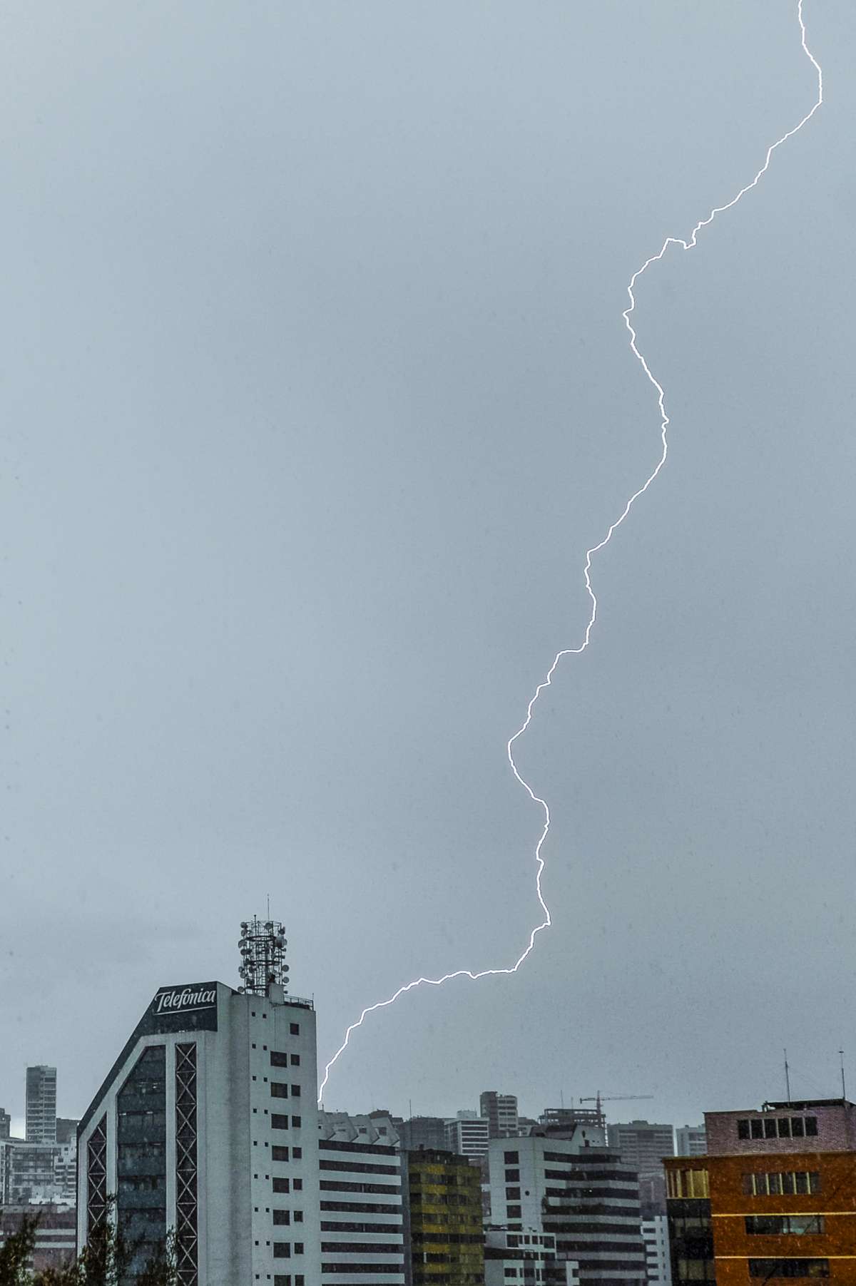 Foto: Fernando Sandoval/ EL TEL&Eacute;GRAFO. 