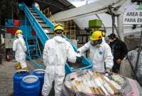 Ecuador, pionero en procesos de destrucción de drogas denominado encapsulamiento