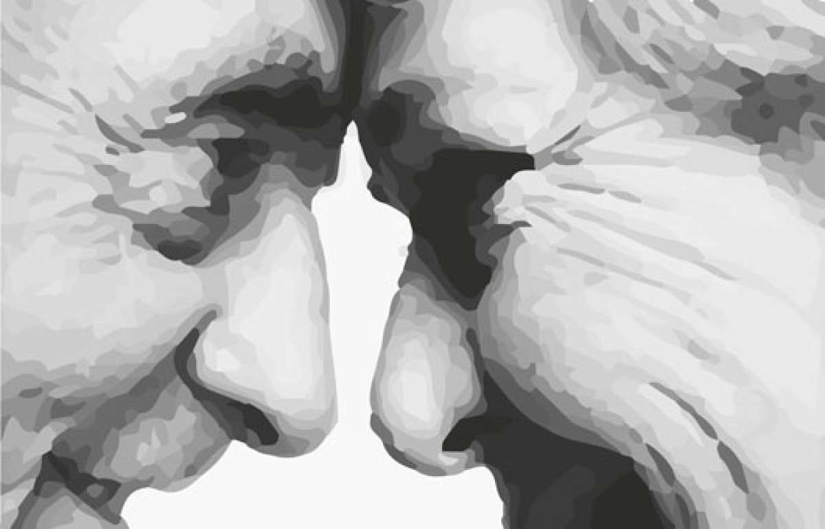 Amores para siempre