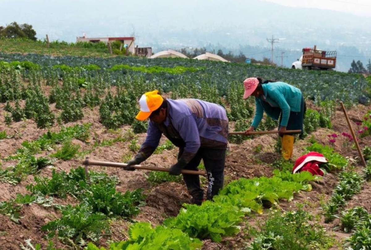 Crédito productivo aumentó un 15,7% con respecto a 2024