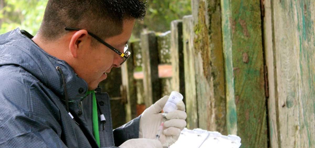 El manejo adecuado de las t&eacute;cnicas de reproducci&oacute;n animal favorece la productividad l&aacute;ctea y c&aacute;rnica.