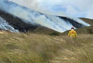 Un incendio en Piñán, Cotacachi consume hasta el momento 900 hectáreas de vegetación. Las autoridades articulan esfuerzos para contener las llamas y proteger el ecosistema.