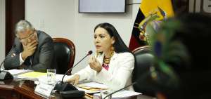 La presidenta del organismo electoral dijo que todos los consejeros tienen responsabilidades se&ntilde;aladas en la ley.