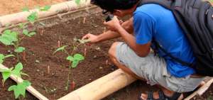 Agroecolog&iacute;a es una de las carreras que oferta este centro de estudios en la Amazon&iacute;a. 