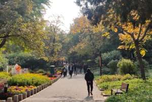Las hojas cambian de verde a amarillo y rojo en la Colina Perfumada durante el otoño.