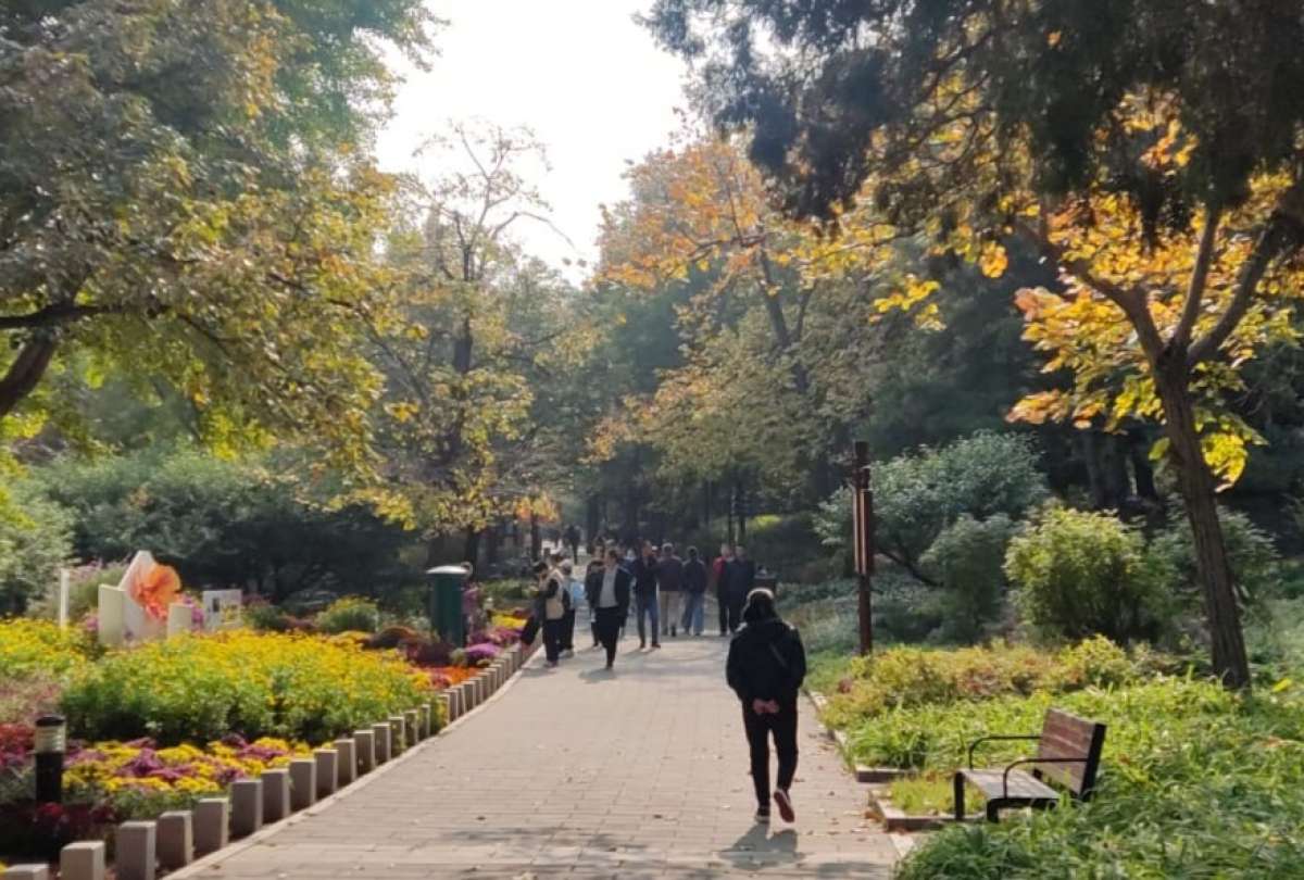 Las hojas cambian de verde a amarillo y rojo en la Colina Perfumada durante el otoño.