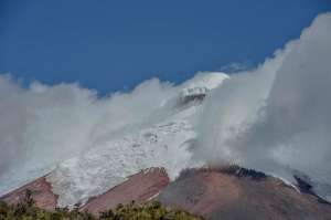 Foto: Fernando Sandoval/ El TEL&Eacute;GRAFO