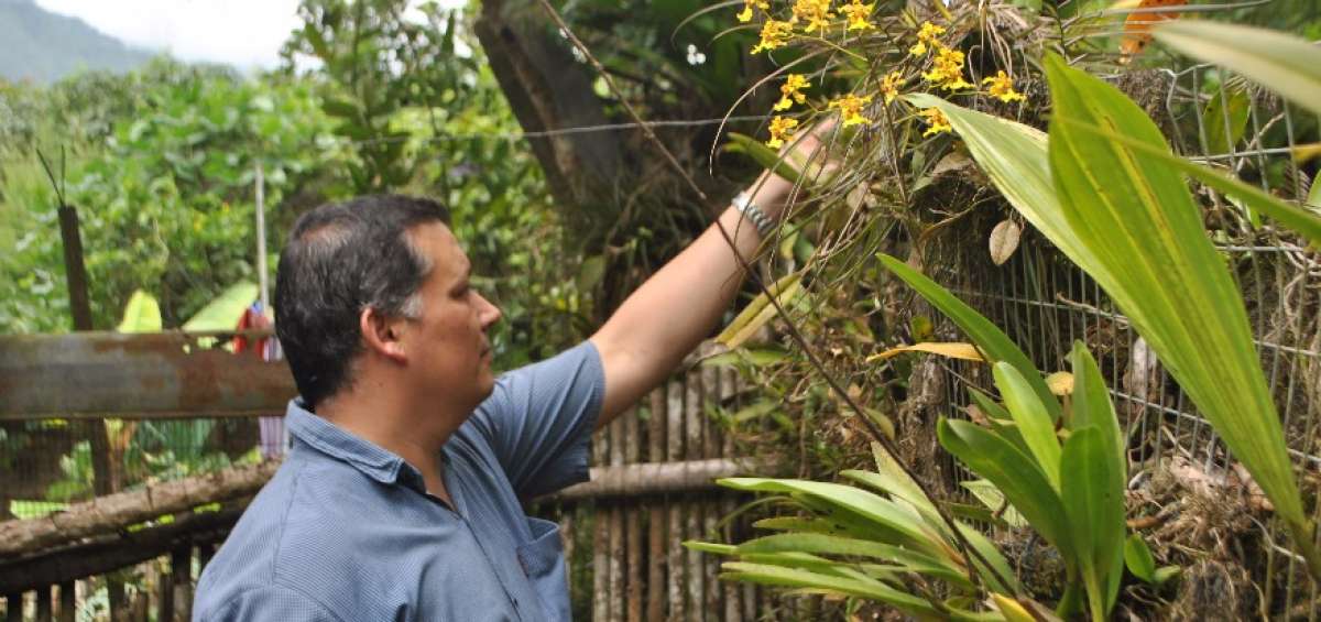 Desde junio hasta agosto las orqu&iacute;deas florecen. Los habitantes las exhiben en los balcones.