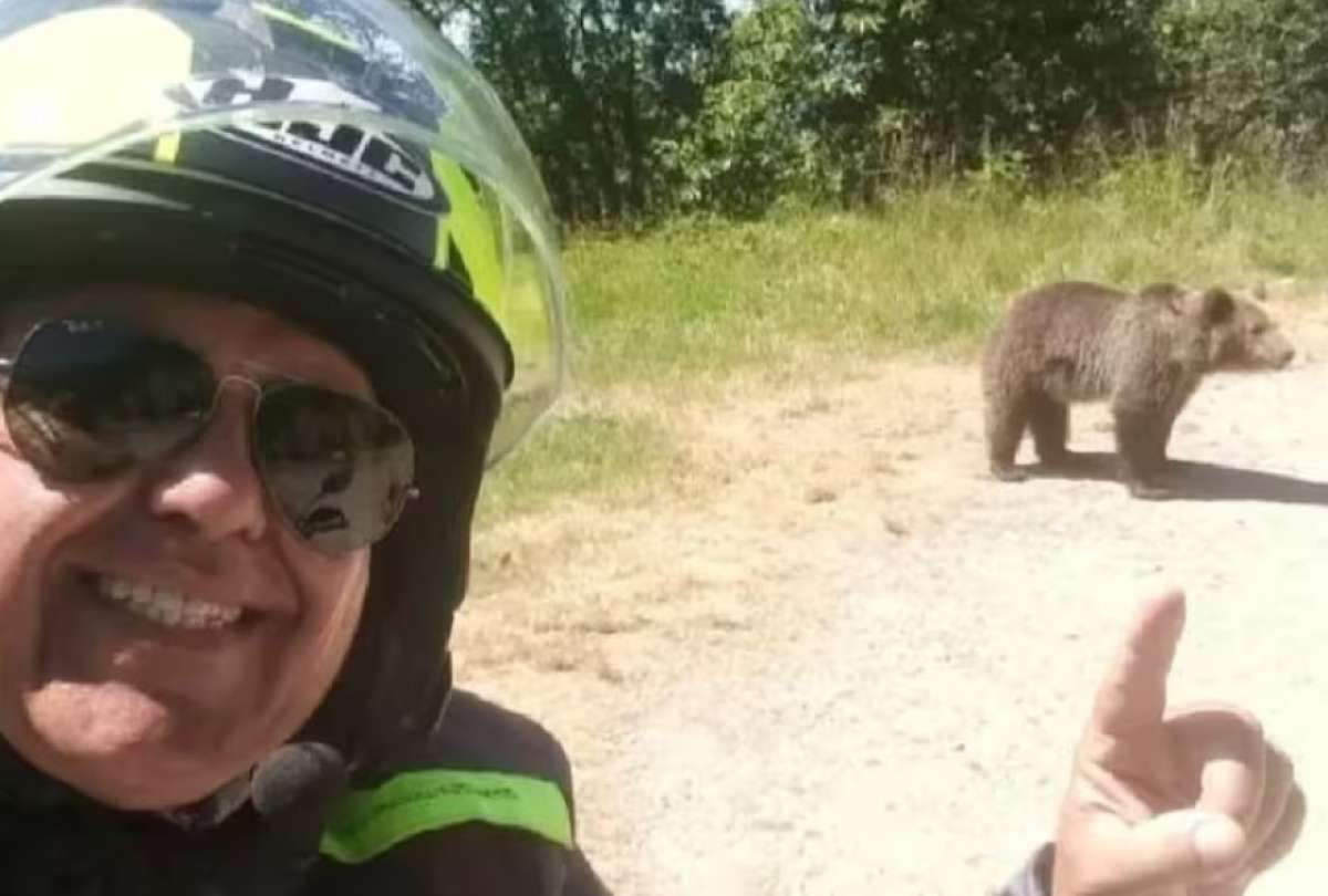El turista tomó una selfie con la cría del oso minutos antes de ser atacado.