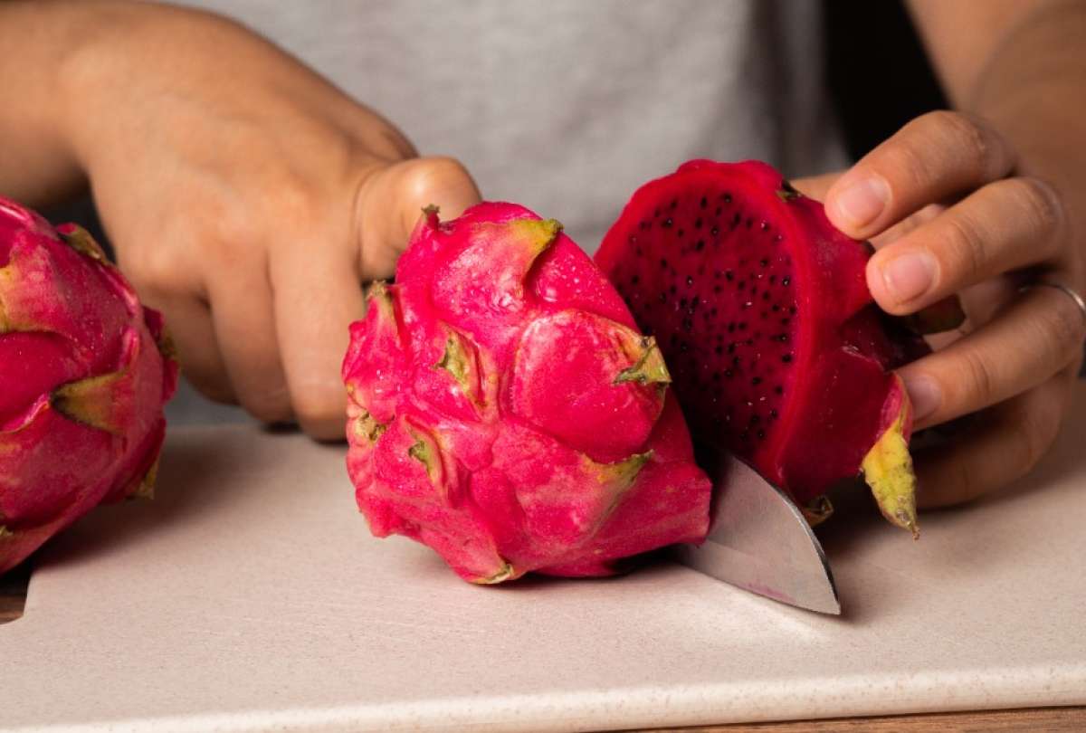 La exportaci&oacute;n de pitahaya en Ecuador destaca como uno de los principales ejes del crecimiento del sector.