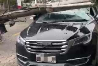 Varios árboles cayeron la mañana de este lunes 5 de mayo en el sector El Condado, al norte de Quito.