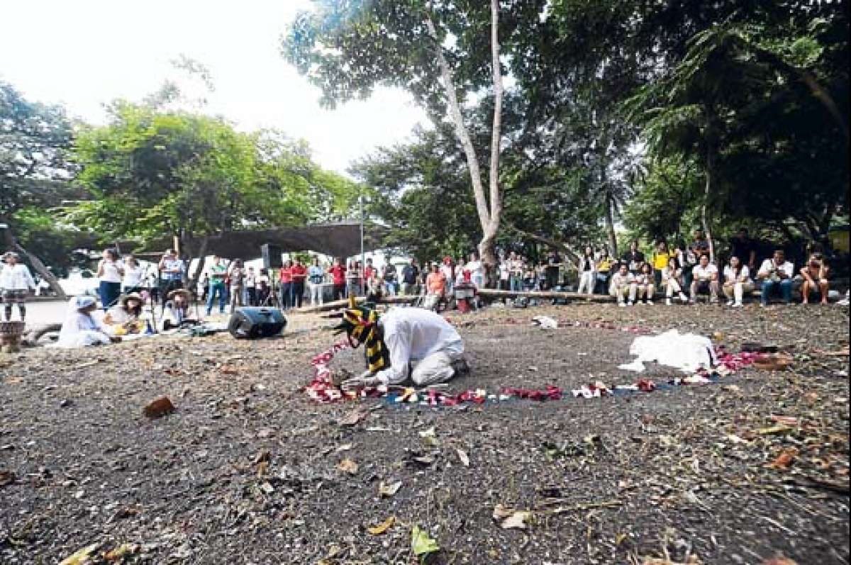 El pasado viernes, a prop&oacute;sito de la Fiesta del Solsticio, se realiz&oacute; una Feria ecol&oacute;gica en el Cerro Para&iacute;so, uno de los remanentes del Bosque Seco en Guayaquil. Foto: Carina Acosta / El Tel&eacute;grafo