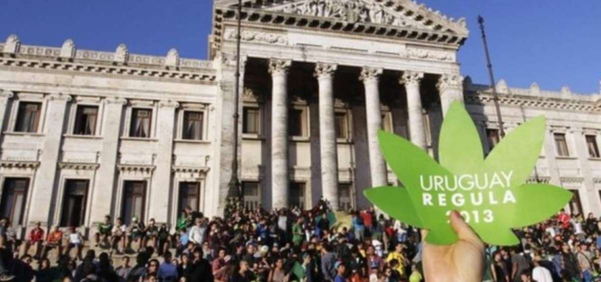Gobierno uruguayo firma acuerdo con farmacias para vender marihuana