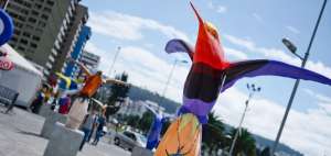 La exposici&oacute;n &lsquo;Quito, jard&iacute;n de quindes&rsquo; se expuso en el a&ntilde;o 2011 en varios puntos del pa&iacute;s. Adem&aacute;s, en otras naciones con &eacute;xito.