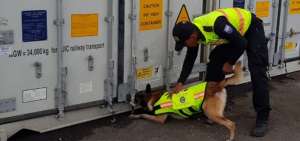 Un can adiestrado detect&oacute; la presencia  del alcaloide y dio la alerta.