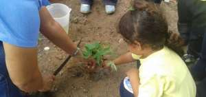 La metodolog&iacute;a ense&ntilde;a a ni&ntilde;os a trabajar la tierra.