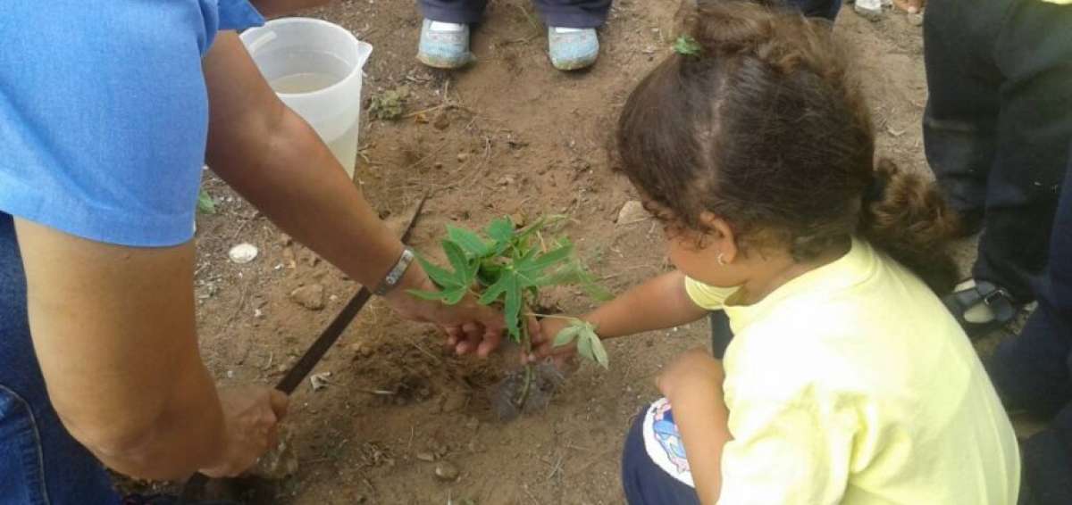 La metodolog&iacute;a ense&ntilde;a a ni&ntilde;os a trabajar la tierra.
