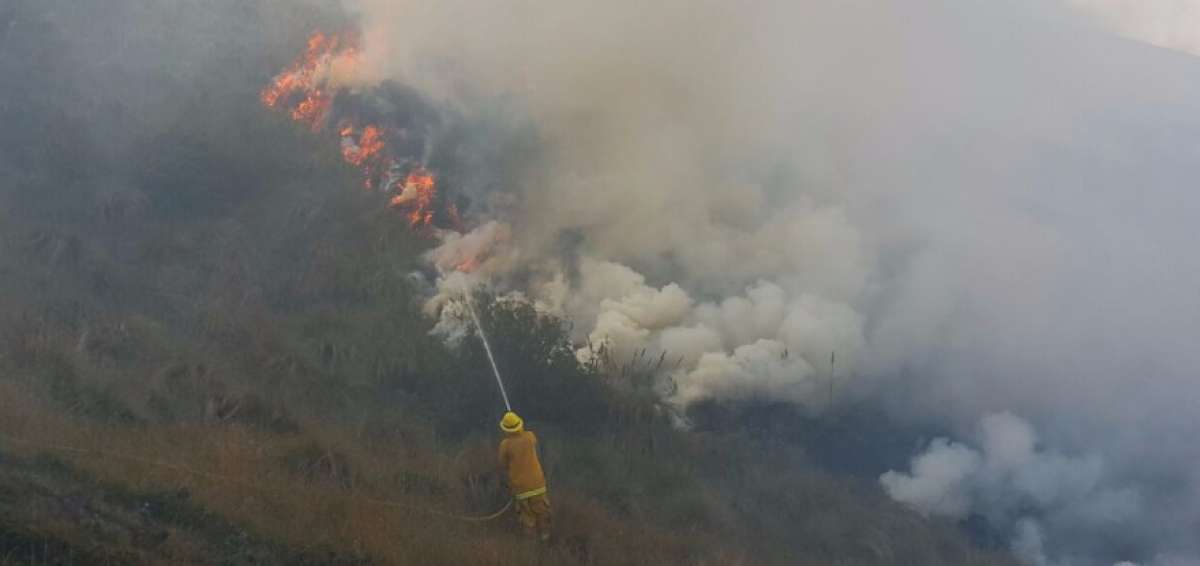 El fuego consumi&oacute; 20 hect&aacute;reas de pajonal en Cotopaxi