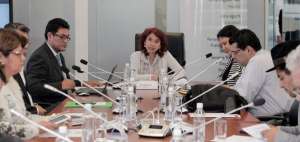 Mar&iacute;a Augusta Calle, presidenta de la Comisi&oacute;n, realiz&oacute; la convocatoria para analizar el caso. 