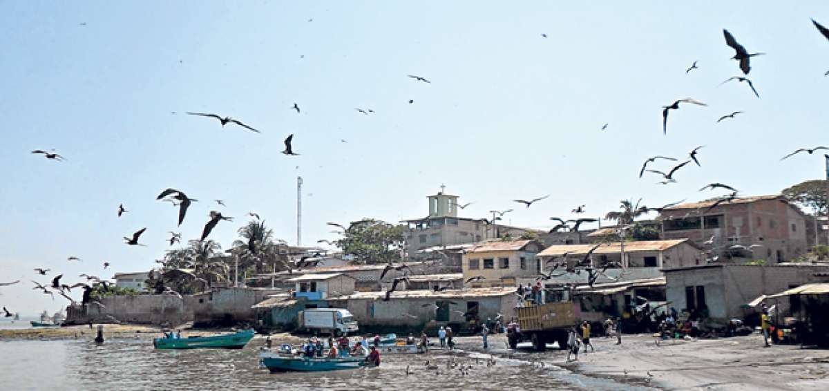 Los pobladores de la isla aseguran que la ayuda municipal es nula y que viven olvidados, a pesar de pertenecer a Guayaquil. Foto: Jos&eacute; Luis Pl&uacute;as / ULVR