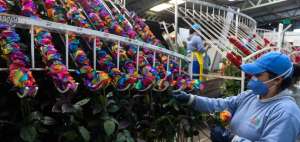 En las negociaciones se tendr&aacute; en consideraci&oacute;n el tama&ntilde;o de la econom&iacute;a ecuatoriana y sus caracter&iacute;sticas productivas.