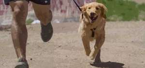 Carrera 1K Festivanimal Kids Race ser&aacute; en la ciudadela Kennedy
