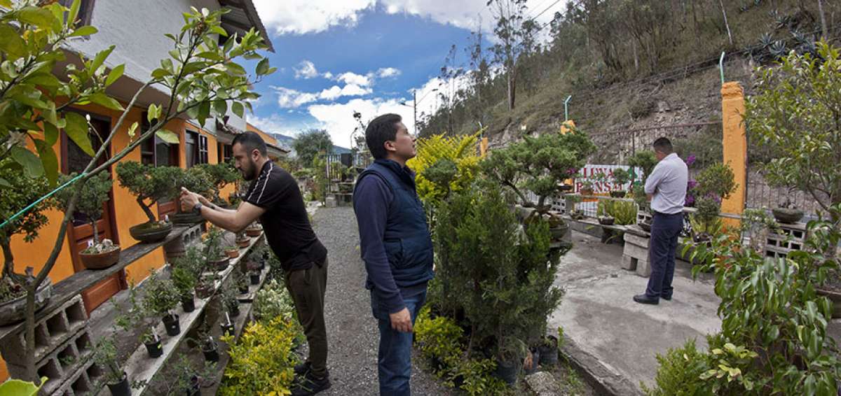 Los visitantes tienen la posibilidad de adquirir diferentes especies c&iacute;tricas y frutales en el vivero del establecimiento.