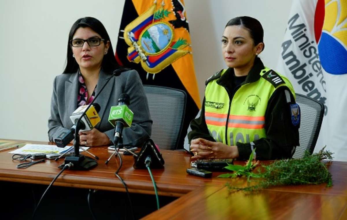 Las autoridades anunciaron que se llevar&aacute;n a cabo operativos de control. Foto: Andr&eacute;s Darquea / El Tel&eacute;grafo 