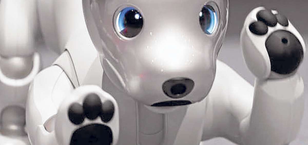 Sony present&oacute; a Aibo, su perro robot que comercializar&aacute; a partir de enero