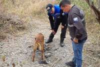 La Policía Nacional confirmó el hallazgo de las osamentas en un sector conocido como Punta Arrecha.