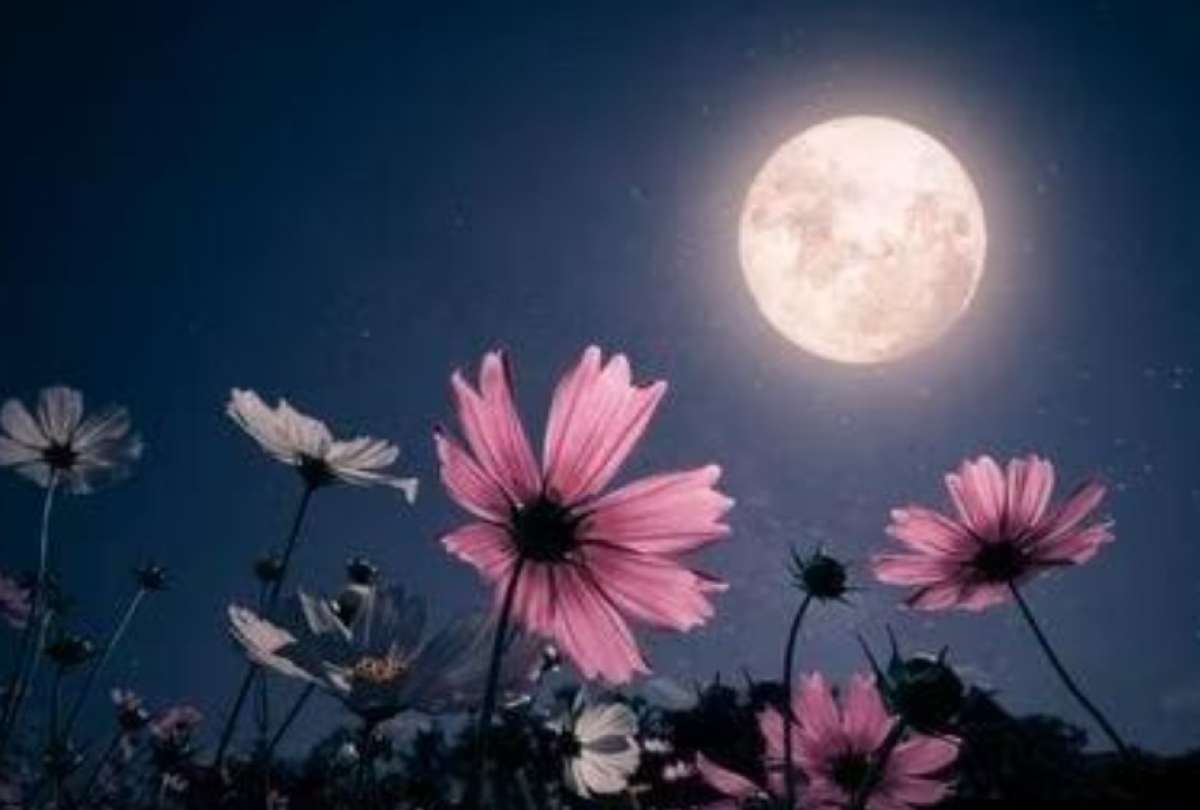 La Luna de Flores lleva este nombre debido a las tradiciones de los nativos americanos y otros pueblos ancestrales.