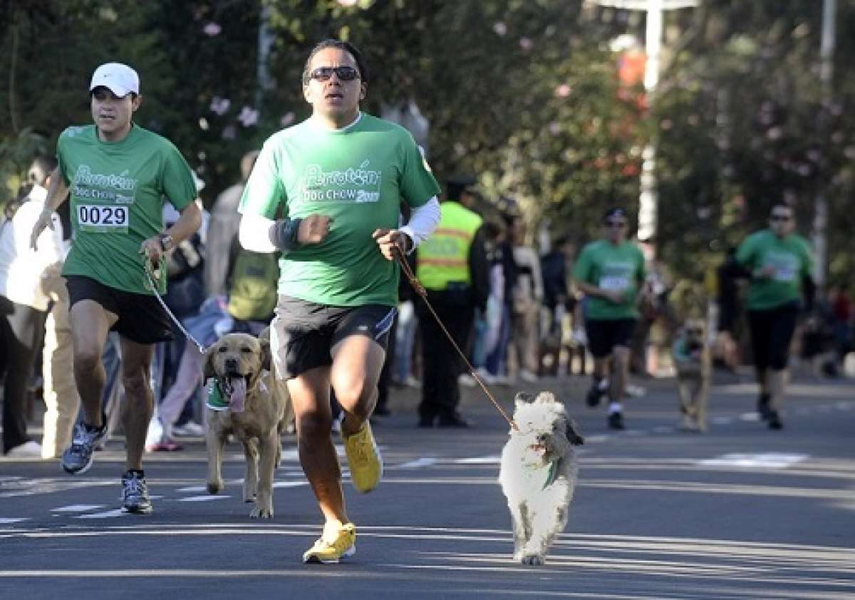 La perrot&oacute;n es un evento que se realiza anualmente y tiene una importante convocatoria. Foto: Santiago Aguirre/ El Tel&eacute;grafo 
