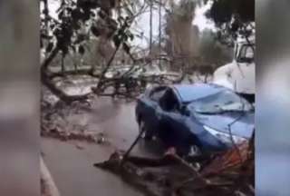 La vicepresidenta Delcy Rodríguez  sufrió un accidente mientras viajaba a Cumanacoa. Un árbol cayó sobre su auto.