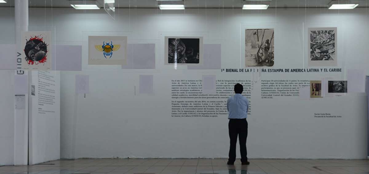 Hern&aacute;n Cueva es el coordinador de la primera Bienal. Las obras est&aacute;n en el Museo de la Universidad Central. 