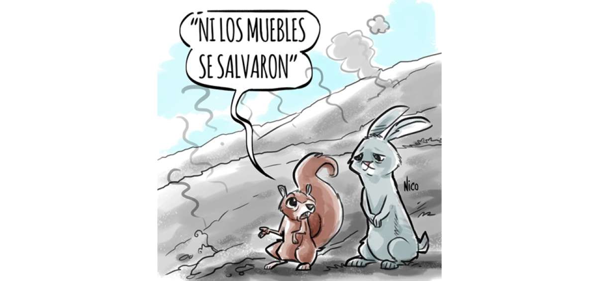 Devastaci&oacute;n