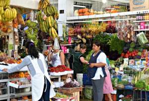 Un reciente estudio de la Pontificia Universidad Católica del Ecuador (PUCE) reveló la presencia de altos niveles de cadmio y plomo en tomates, lechugas y zanahorias vendidos en cuatro mercados de Quito.